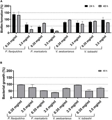 Evaluation of the Anti-fouling Efficacy of Bacillus licheniformis Extracts Under Environmental and Natural Conditions